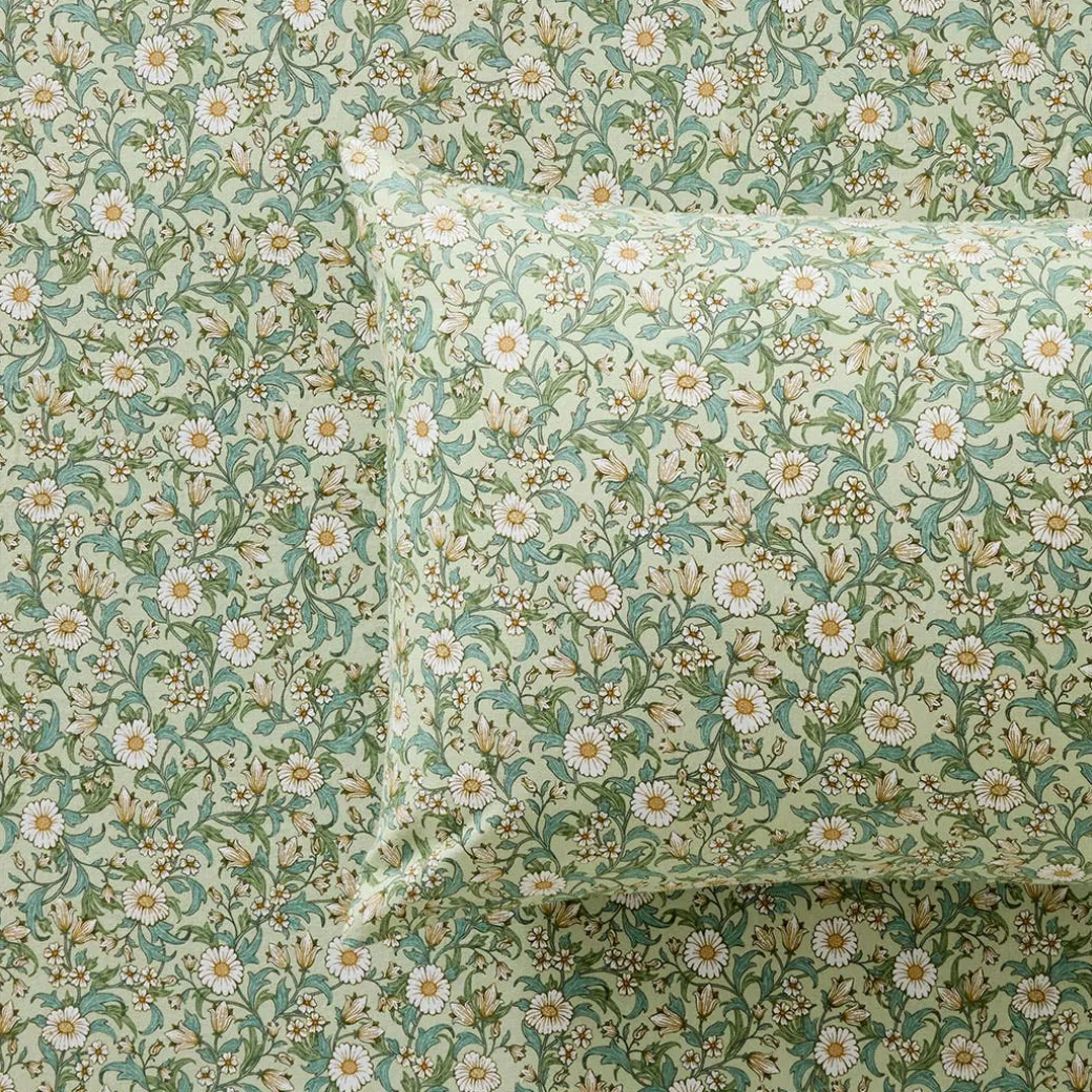 Cordelia Flannelette Sheet Set - Sage/Ivory