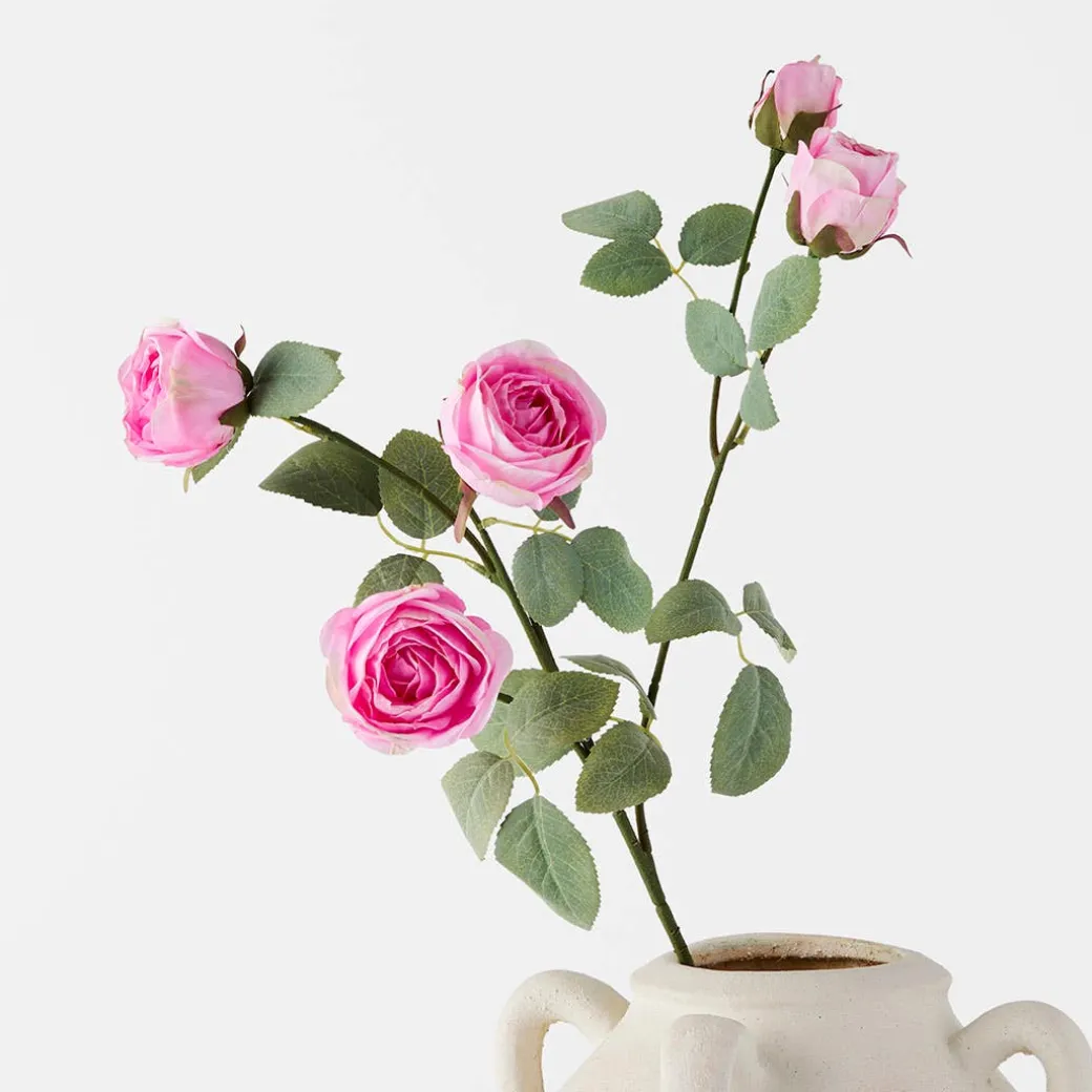 Rose Stem